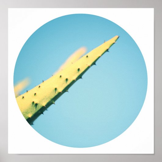 Affiche Épines de Cactus Vert Élégant Ciel Bleu (Devant)