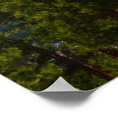 Affiche Espoir/Support (Coin)