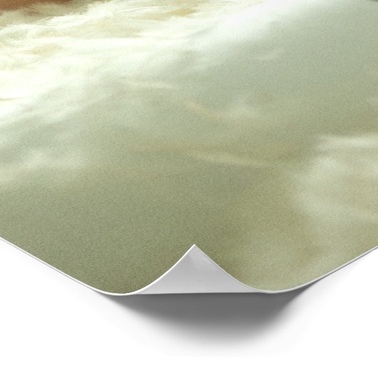 Affiche exclusive de Miss Jackson (Coin)