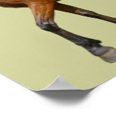 Affiche Exmoor Horse (Coin)