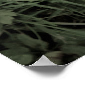 affiche face à la nature (Coin)