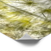 Affiche Fantastique de Pissenlits (Coin)