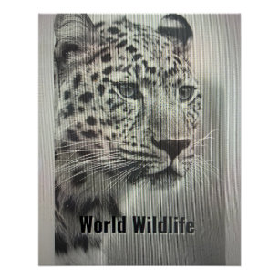 AFFICHE FAUNE MONDIALE