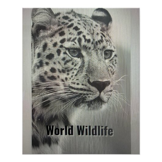 AFFICHE FAUNE MONDIALE (Devant)