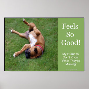 Affiche Feels So Good