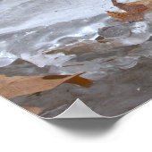 Affiche Feuilles Coincées dans la Glace (Coin)
