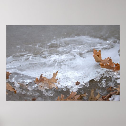 Affiche Feuilles Coincées dans la Glace (Devant)