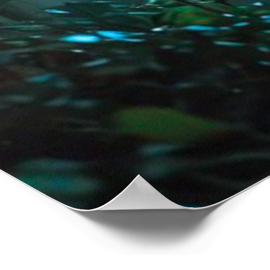 Affiche Fille Papillon Capricieuse (Coin)