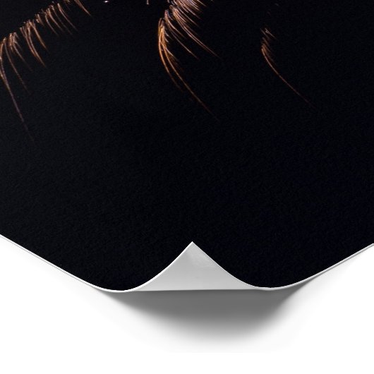 Affiche Fireworks (Coin)