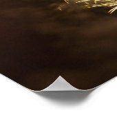 Affiche Fireworks 19 (Coin)