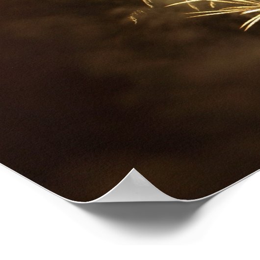 Affiche Fireworks 19 (Coin)