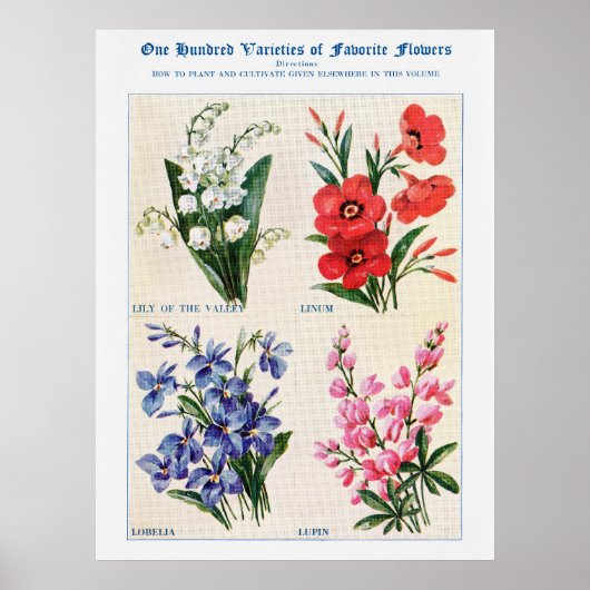 Affiche Fleur Aquarelle 4 (Devant)