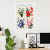 Affiche Fleur Aquarelle 4 (Bureau à domicile)