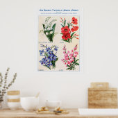 Affiche Fleur Aquarelle 4 (Cuisine)