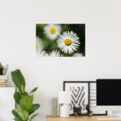 Affiche Fleur de Marguerite en Fleur (Bureau à domicile)