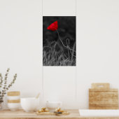 Affiche Fleur de Pavot Rouge (Cuisine)