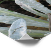 Affiche Fleur humide (Coin)