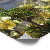 Affiche Fleur Jaune au Grand Canyon (Coin)