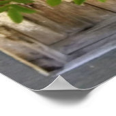 Affiche fleur sauvage (Coin)