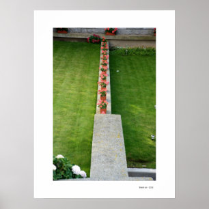 Affiche FLEURS