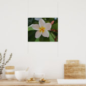 Affiche florale hawaïenne (Cuisine)
