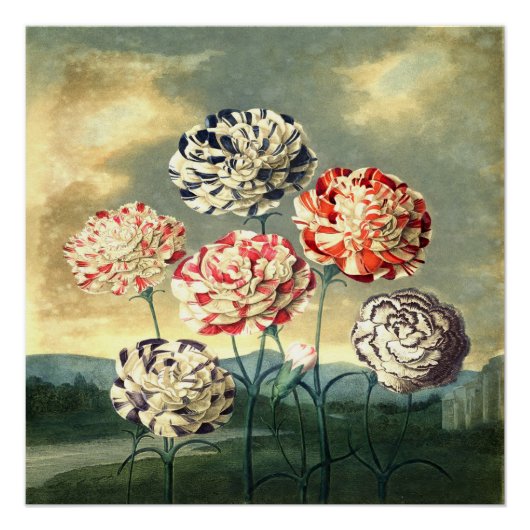 Affiche Florale Vintage (Devant)