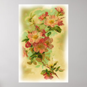 Affiche florale vintage