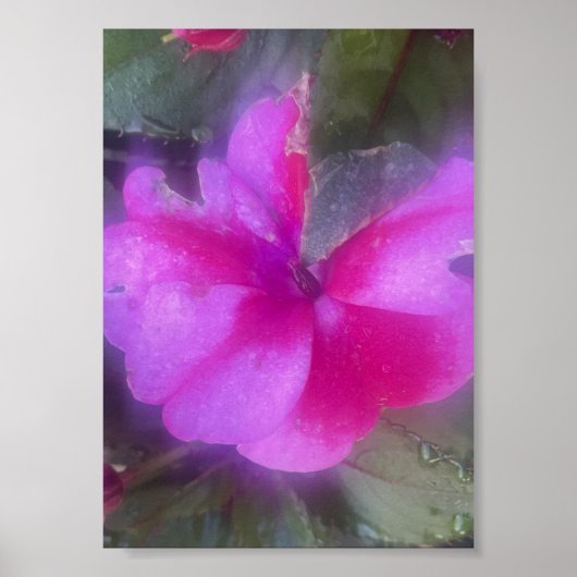 affiche florale violette greyforaday (Devant)