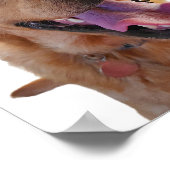 Affiche Fox rouge Labrador (Coin)