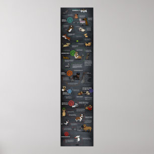 Affiche fraîche de chien