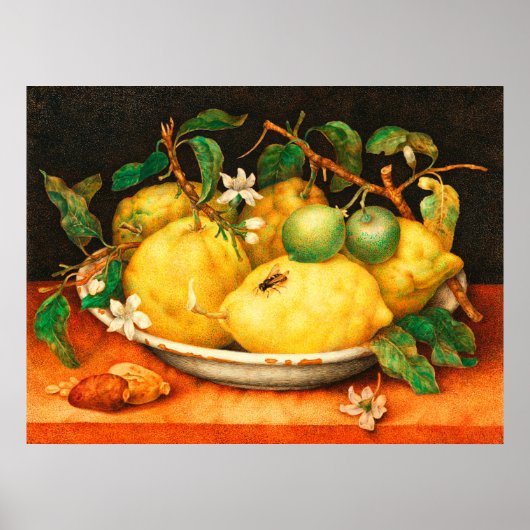 AFFICHE FRUITS DE SAISON CITRONS ET FLEURS BLANCHE (Devant)