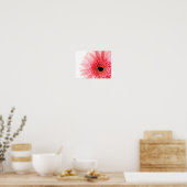 Affiche Gerbera Daisy (Cuisine)