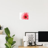 Affiche Gerbera Daisy (Bureau à domicile)