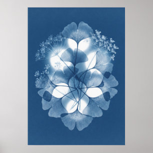 Affiche Ginkgo Fleur de la Reine Anne Cyanotype Bl
