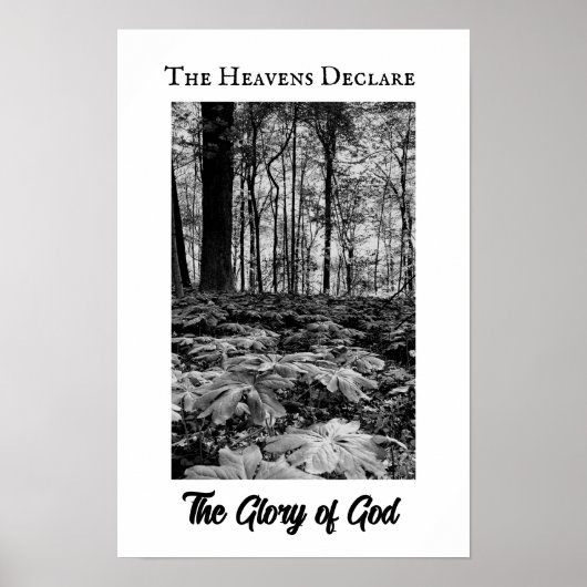 Affiche Gloire de Dieu Forêt Noir et Blanc (Devant)