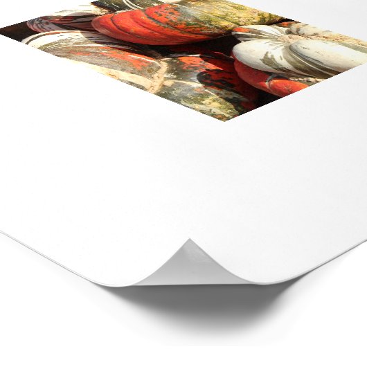 Affiche Gourds d'automne (Coin)