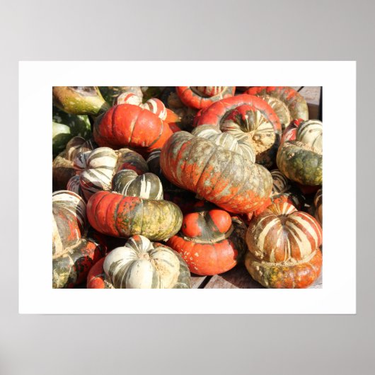 Affiche Gourds d'automne (Devant)