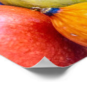 Affiche Gourds d'automne (Coin)