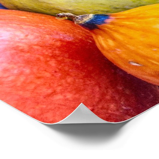 Affiche Gourds d'automne (Coin)