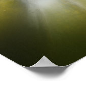 Affiche Gourds d'automne (Coin)