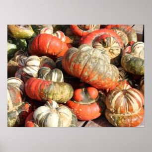 Affiche Gourds d'automne