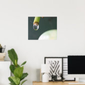 Affiche Goutte d'Eau (Bureau à domicile)