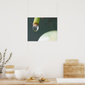 Affiche Goutte d'Eau (Cuisine)