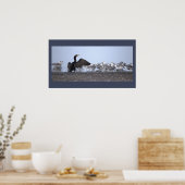 Affiche Grand Cormoran avec Mouettes (Cuisine)