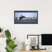 Affiche Grand Cormoran avec Mouettes (Bureau à domicile)