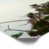 Affiche Great Egret (Coin)