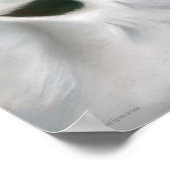 Affiche Great Egrets in Love (Coin)