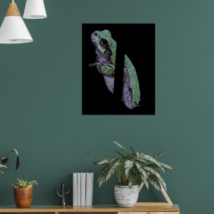 Affiche Grenouille arboricole