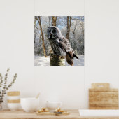 affiche grey-owl-snow-forest (Cuisine)