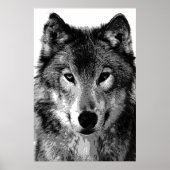 Affiche Grey Wolf Imprimer (Devant)